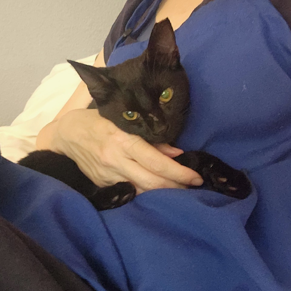 Zozo