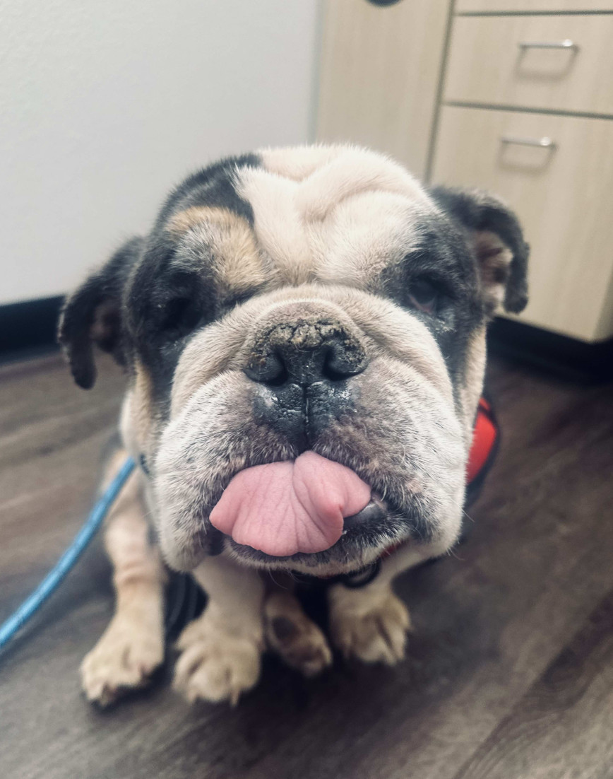 Watson