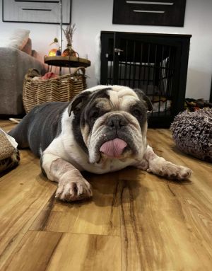 Watson, Senior Male unknown