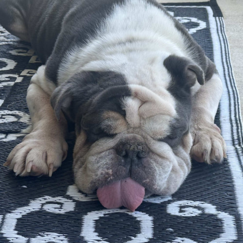 Watson