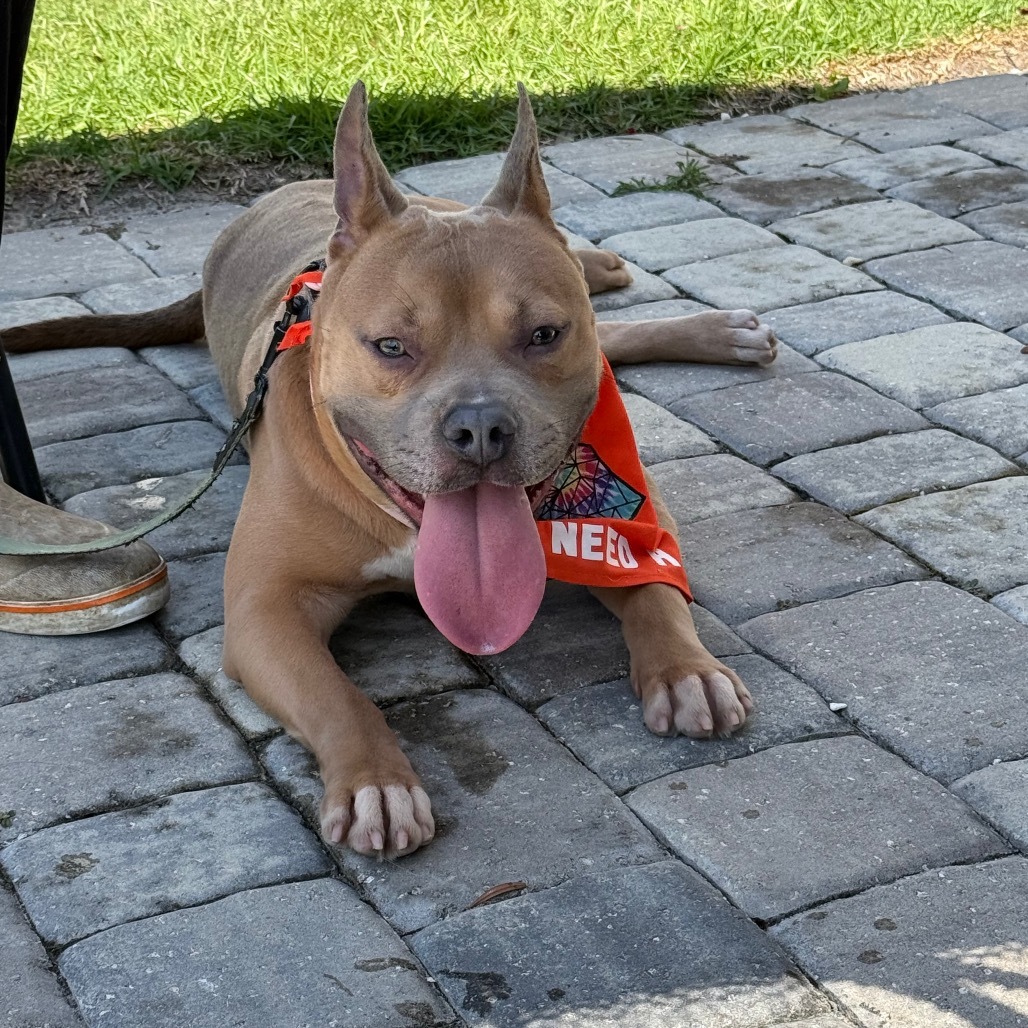 General Pudge