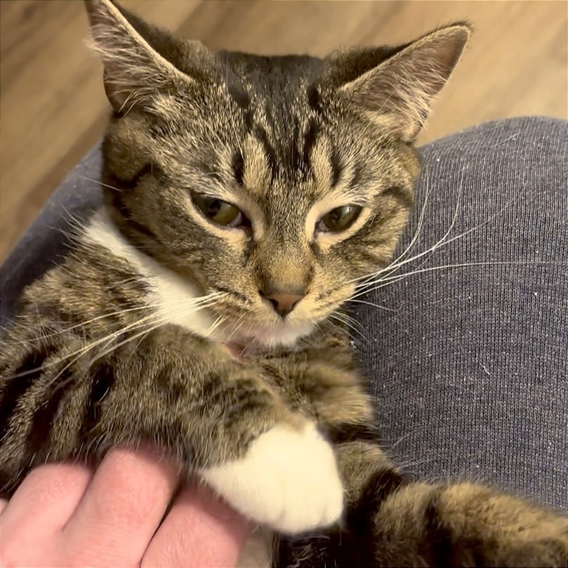 Esther