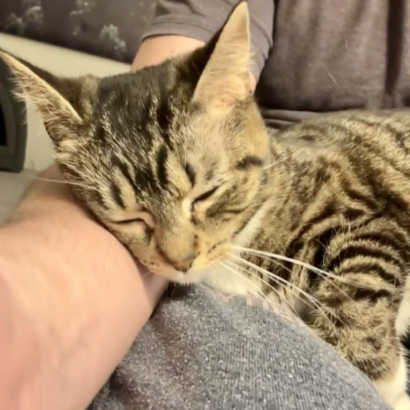 Esther