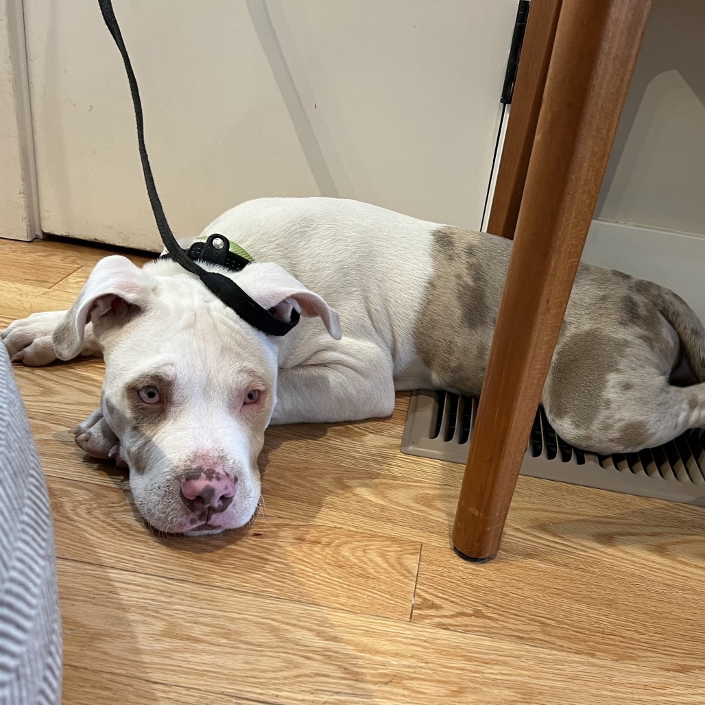 Roscoe