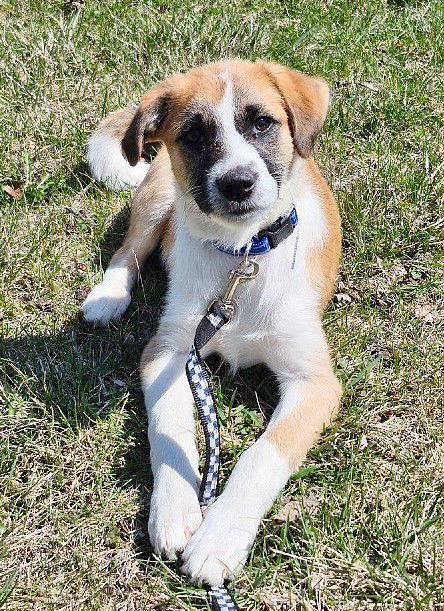 **MURPHY**