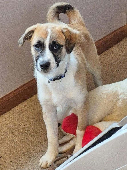 **MURPHY**