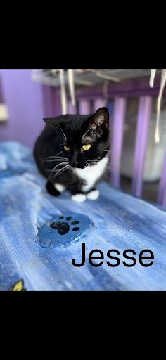 Jessie