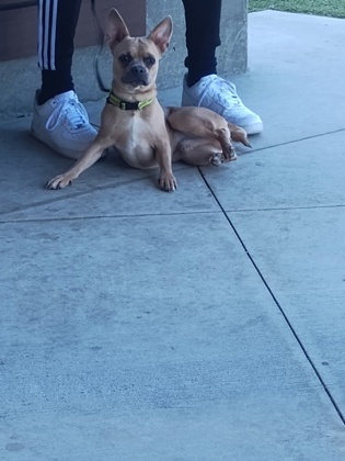 Cooper-ADOPTED