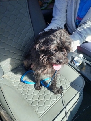 Beauty-adopted!