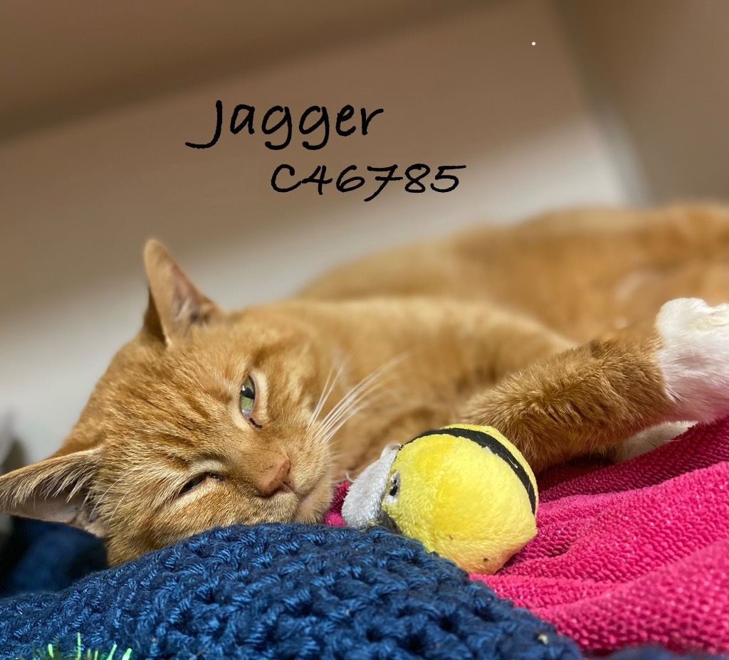 Jagger