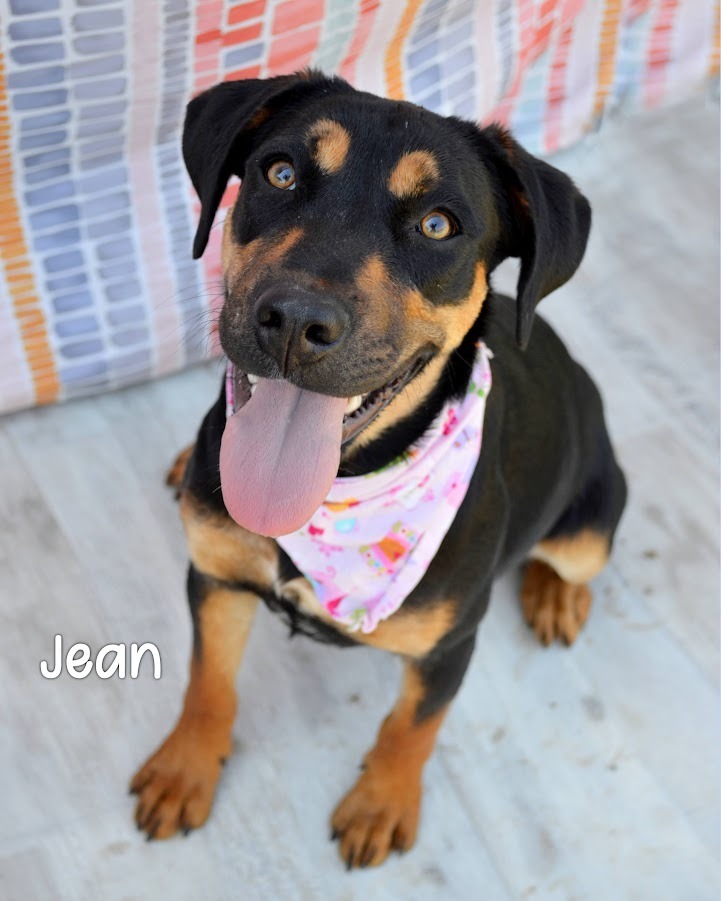 Jean