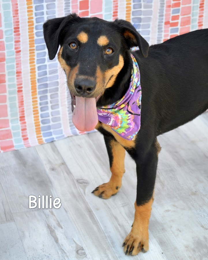 Billie
