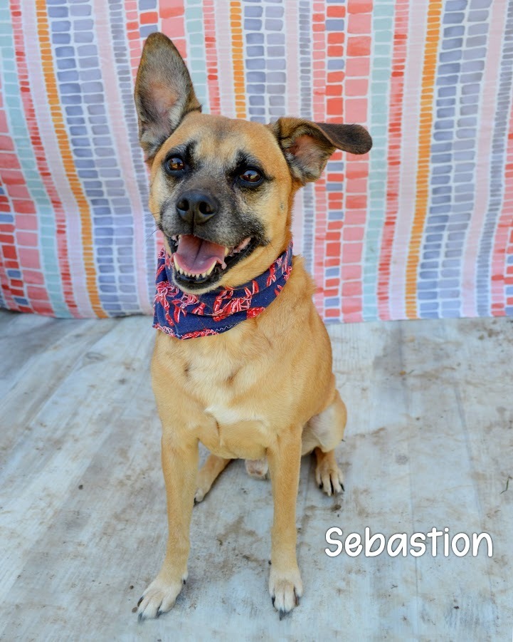 Sebastion