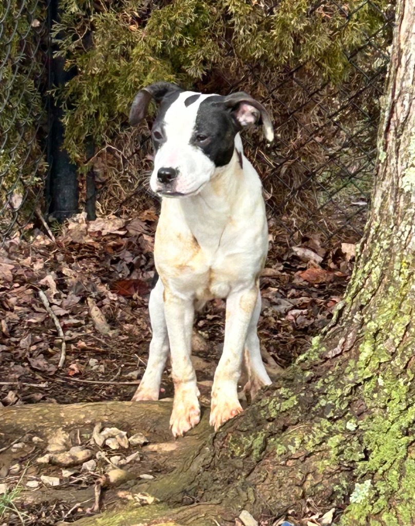 Marley