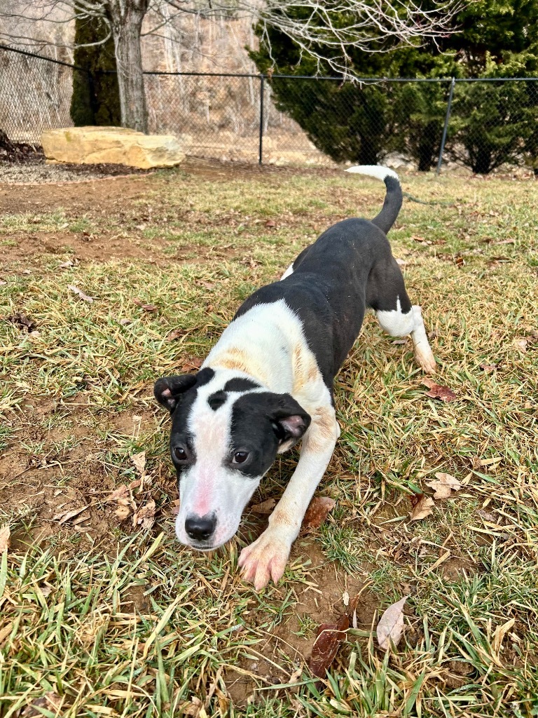Marley
