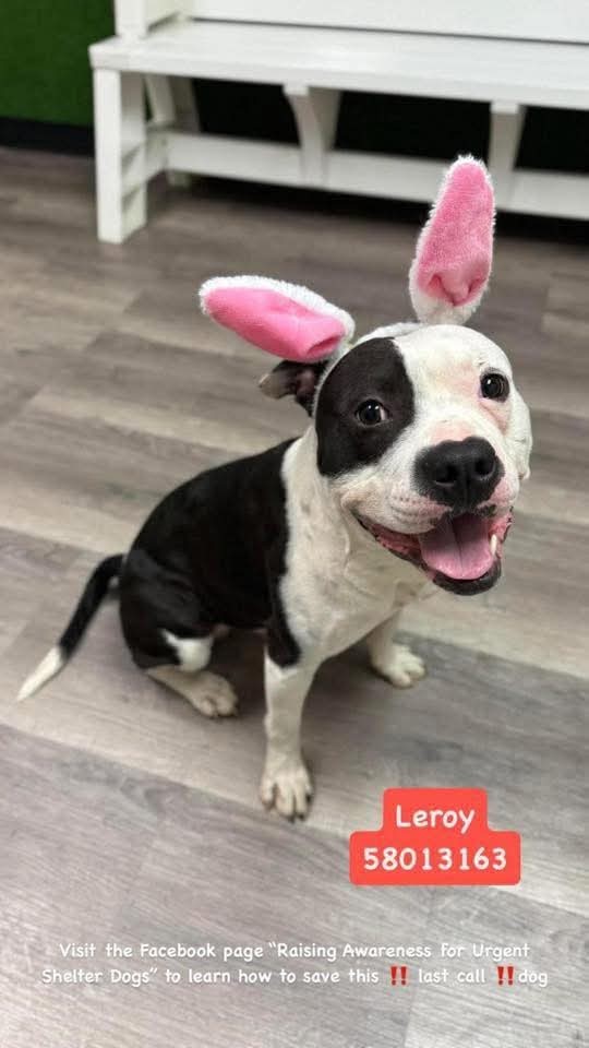 Leroy