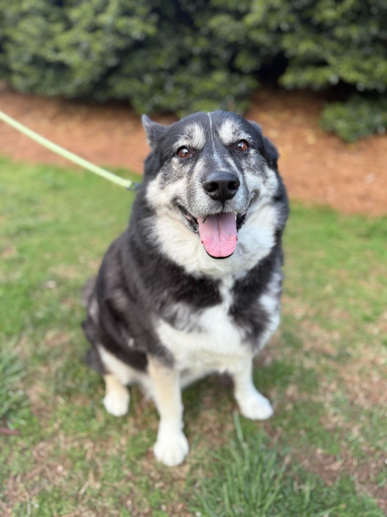 Sammy