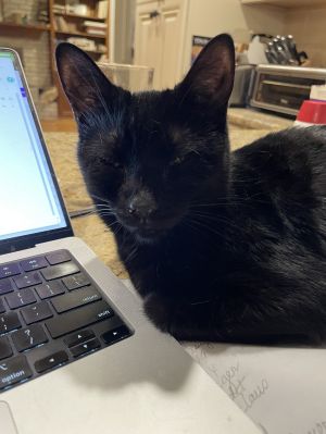 Gia, Young Female unknown