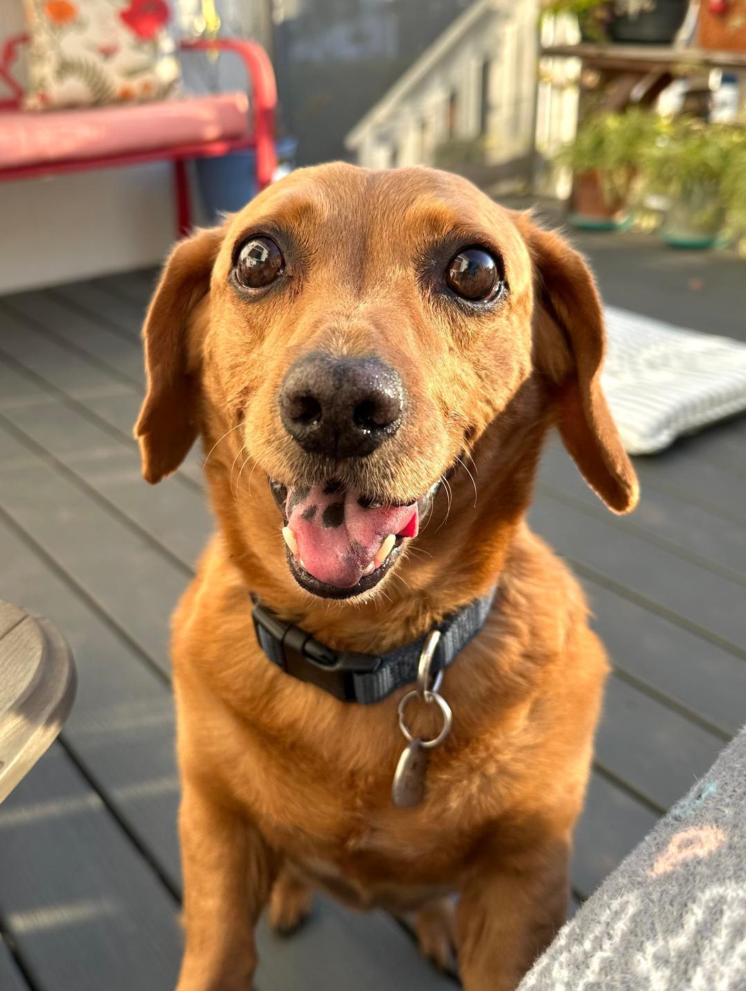 Rusty - So Ca