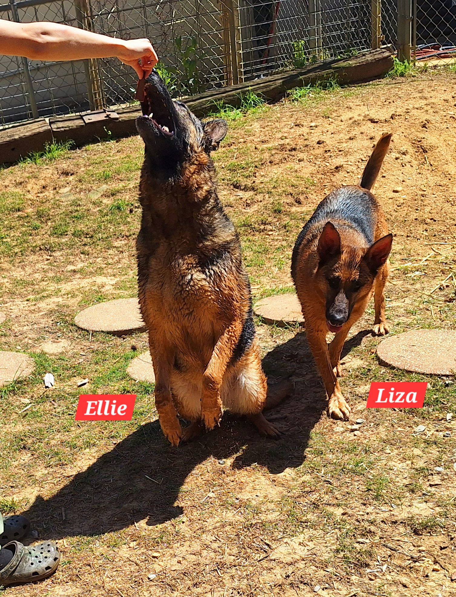 250362 Ellie & Liza