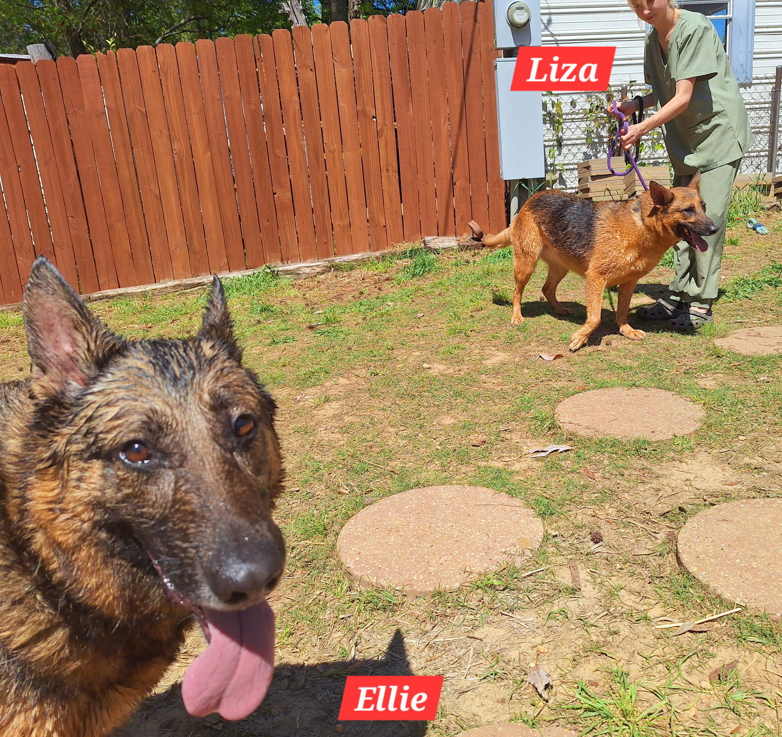 250362 Ellie & Liza
