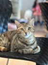 Katy Purry photo 3
