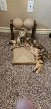 Katy Purry photo 4