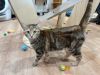 Katy Purry photo 5