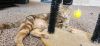 Katy Purry photo 6