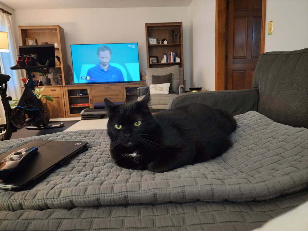 Olive