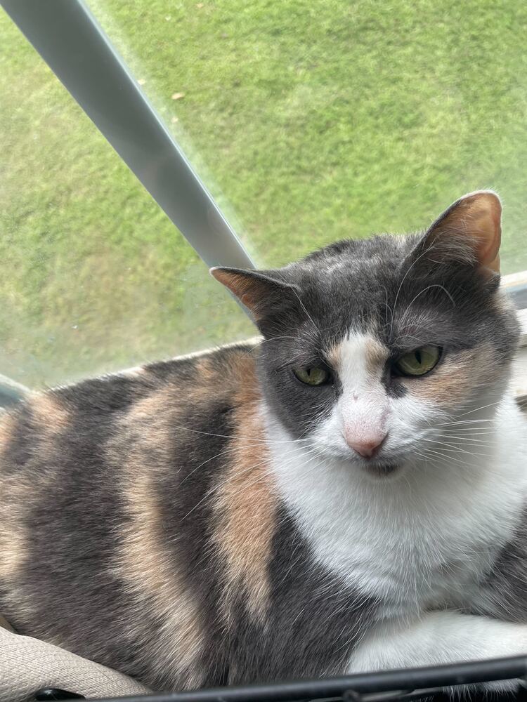 Ethel