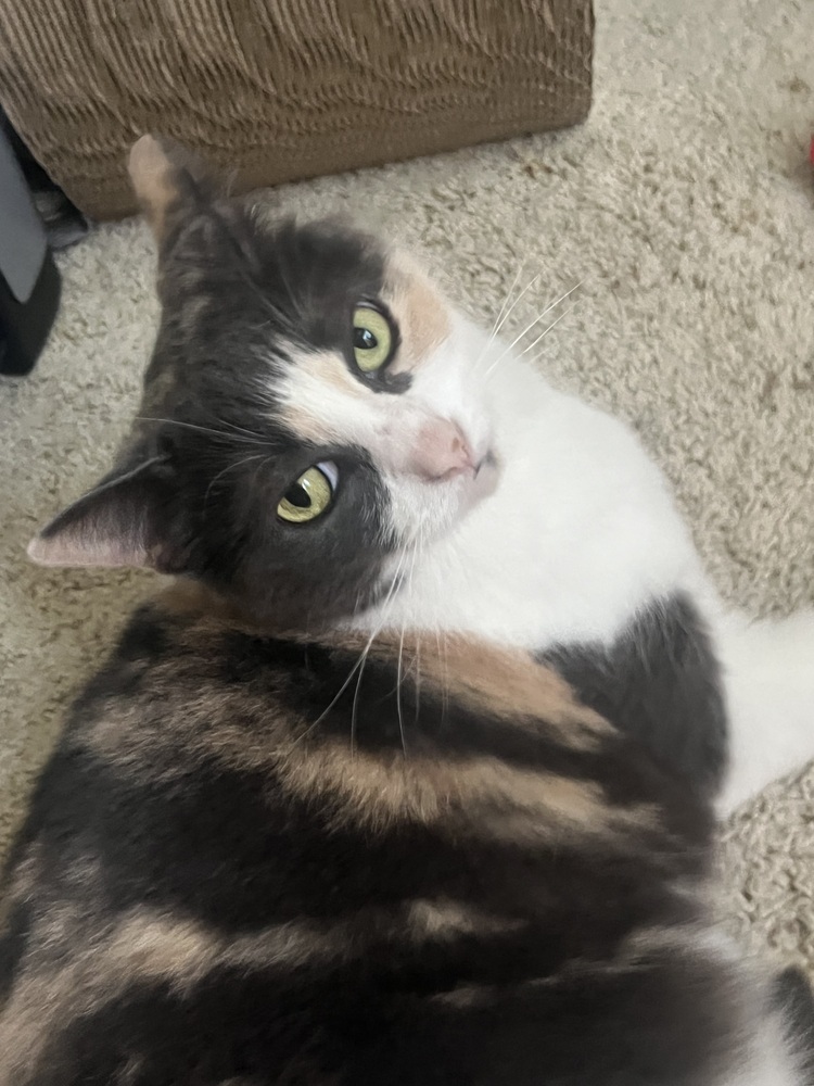 Ethel