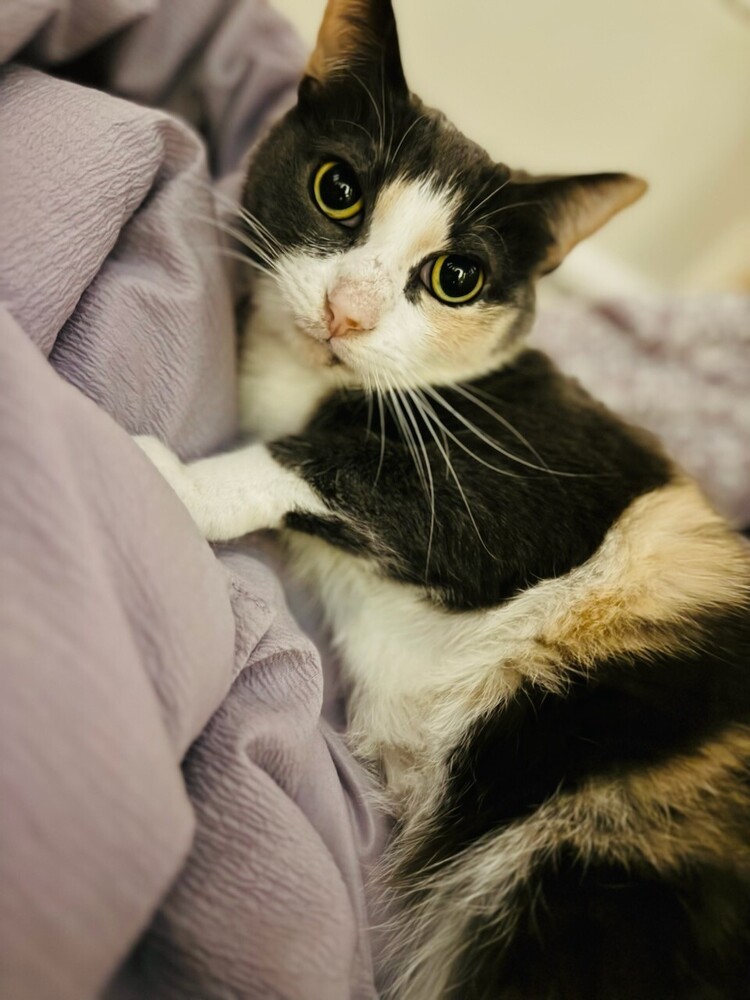 Ethel