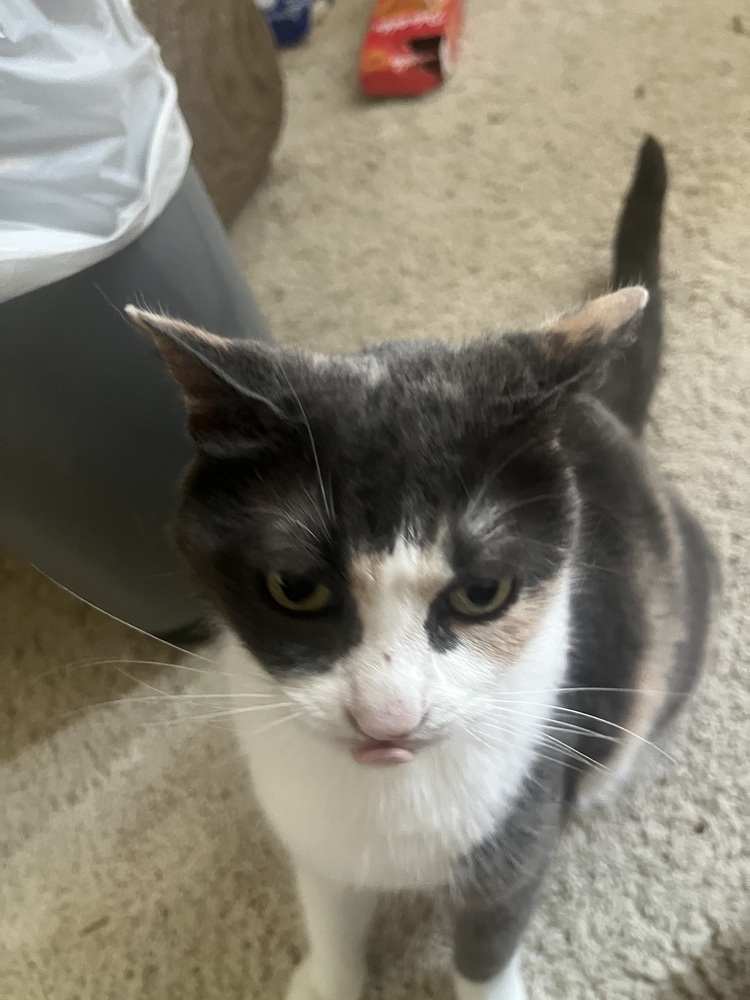Ethel