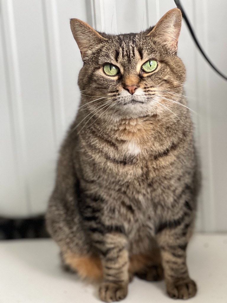 Jasmine