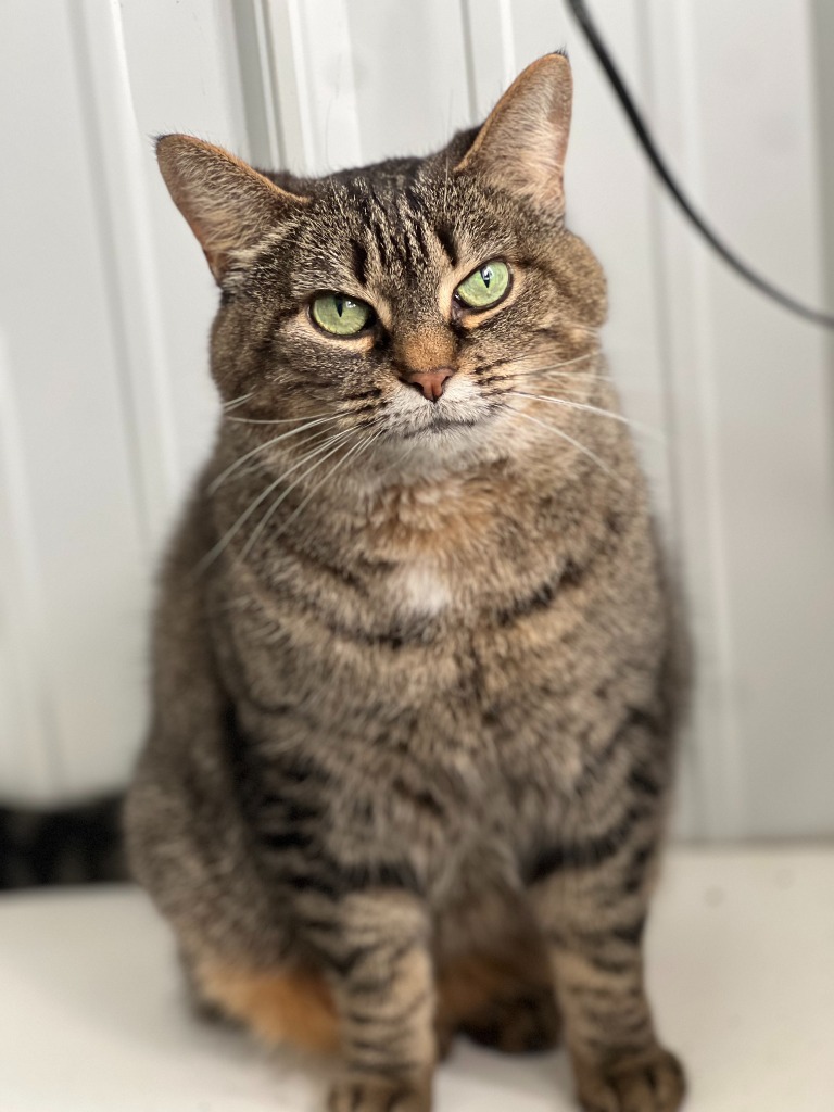 Jasmine