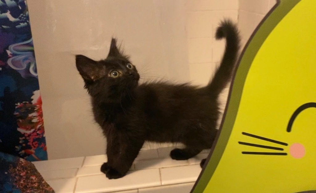 Bennie Soot