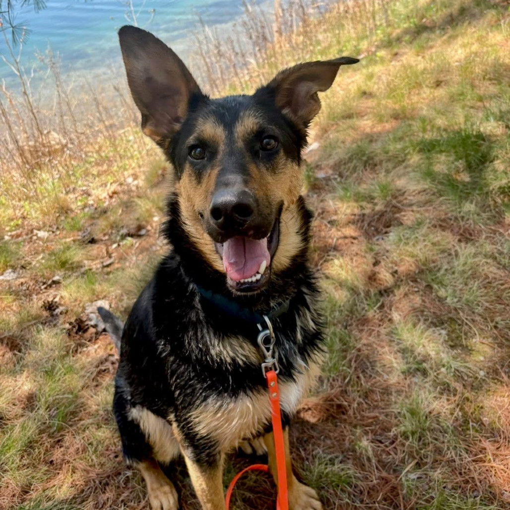 Logan