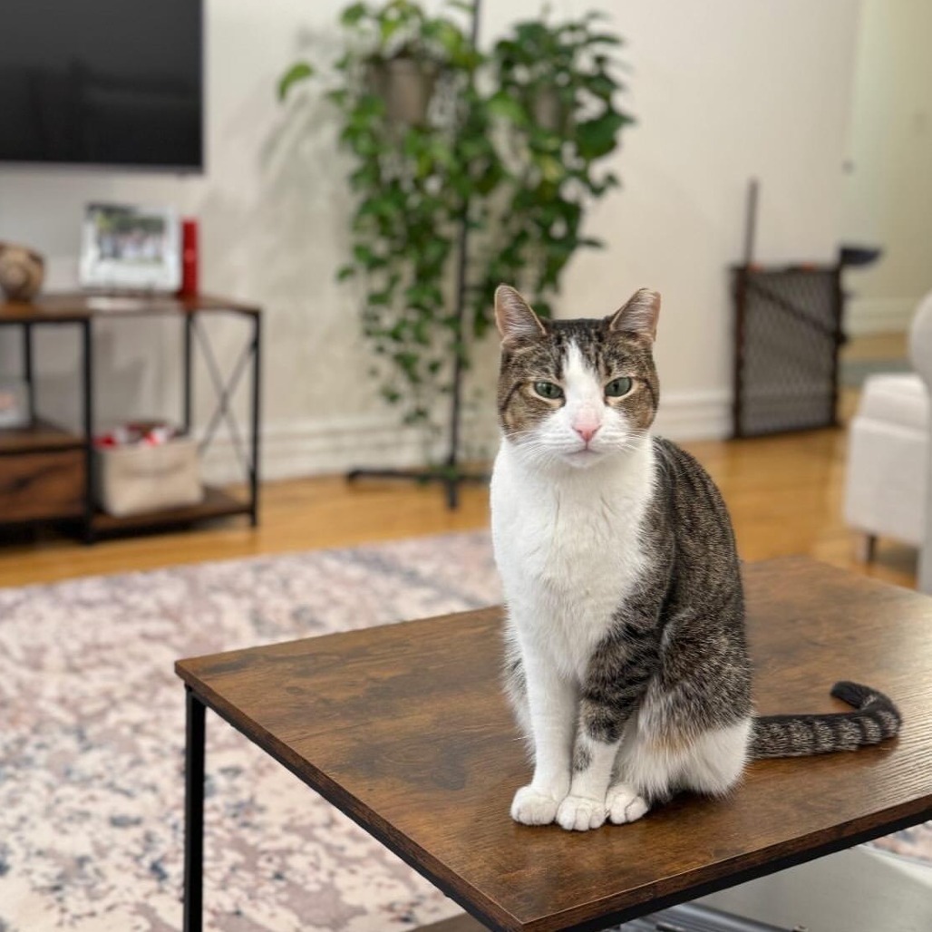 Lucy