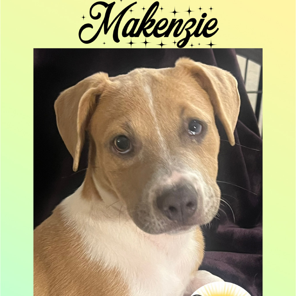 Makenzie(Miss Mac)