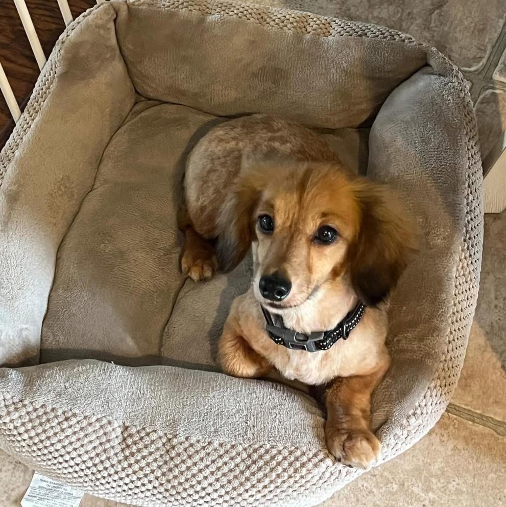 Chloe