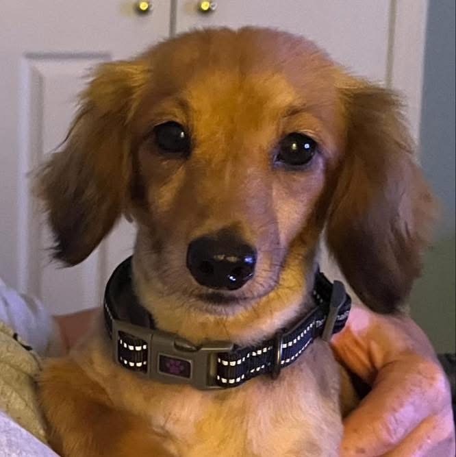 Chloe
