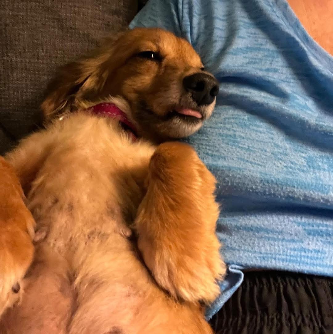 Chloe