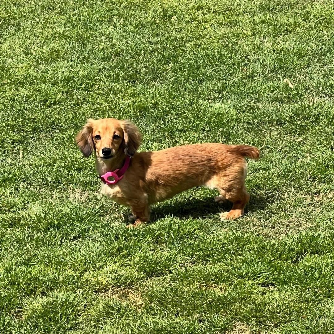 Chloe