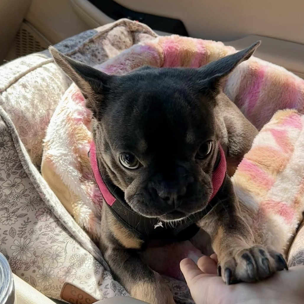 Coco