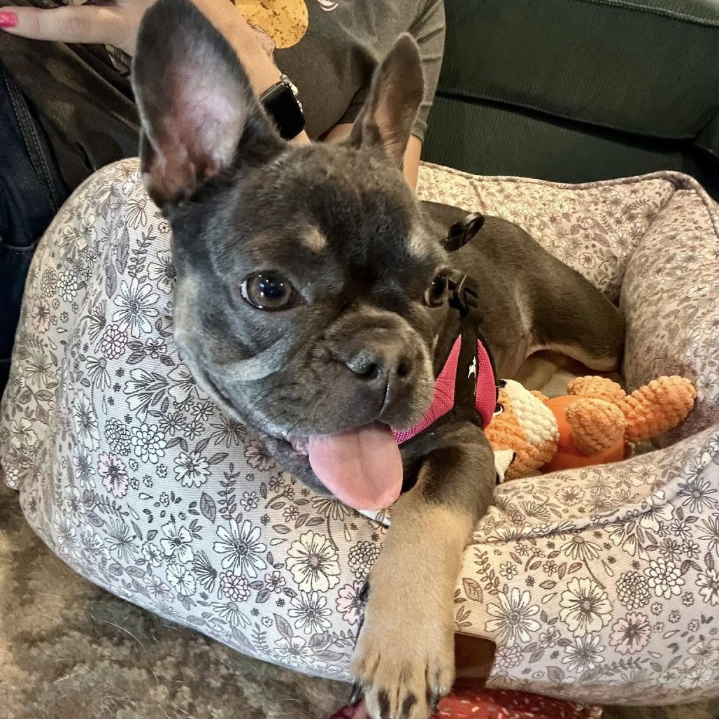 Coco