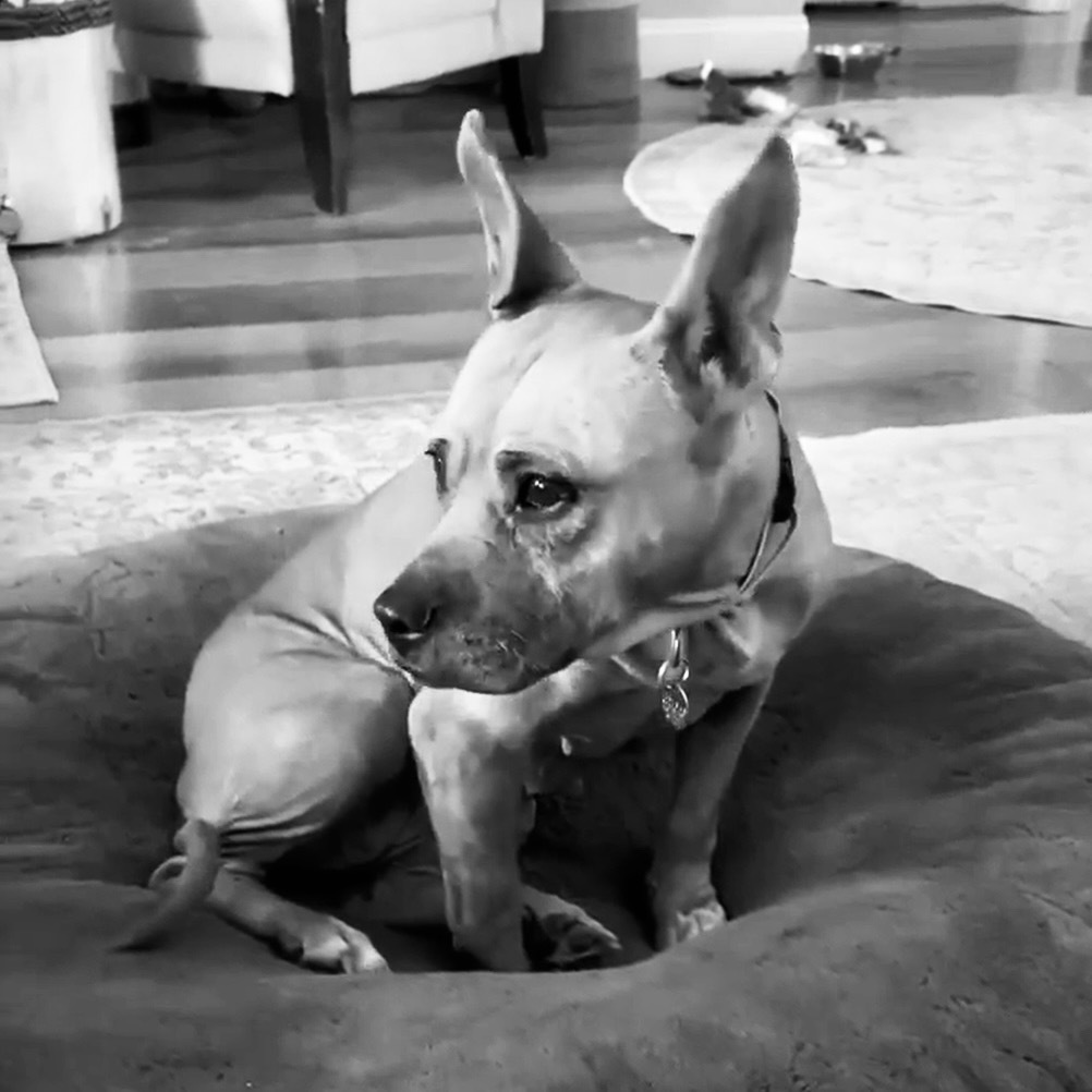 Lola