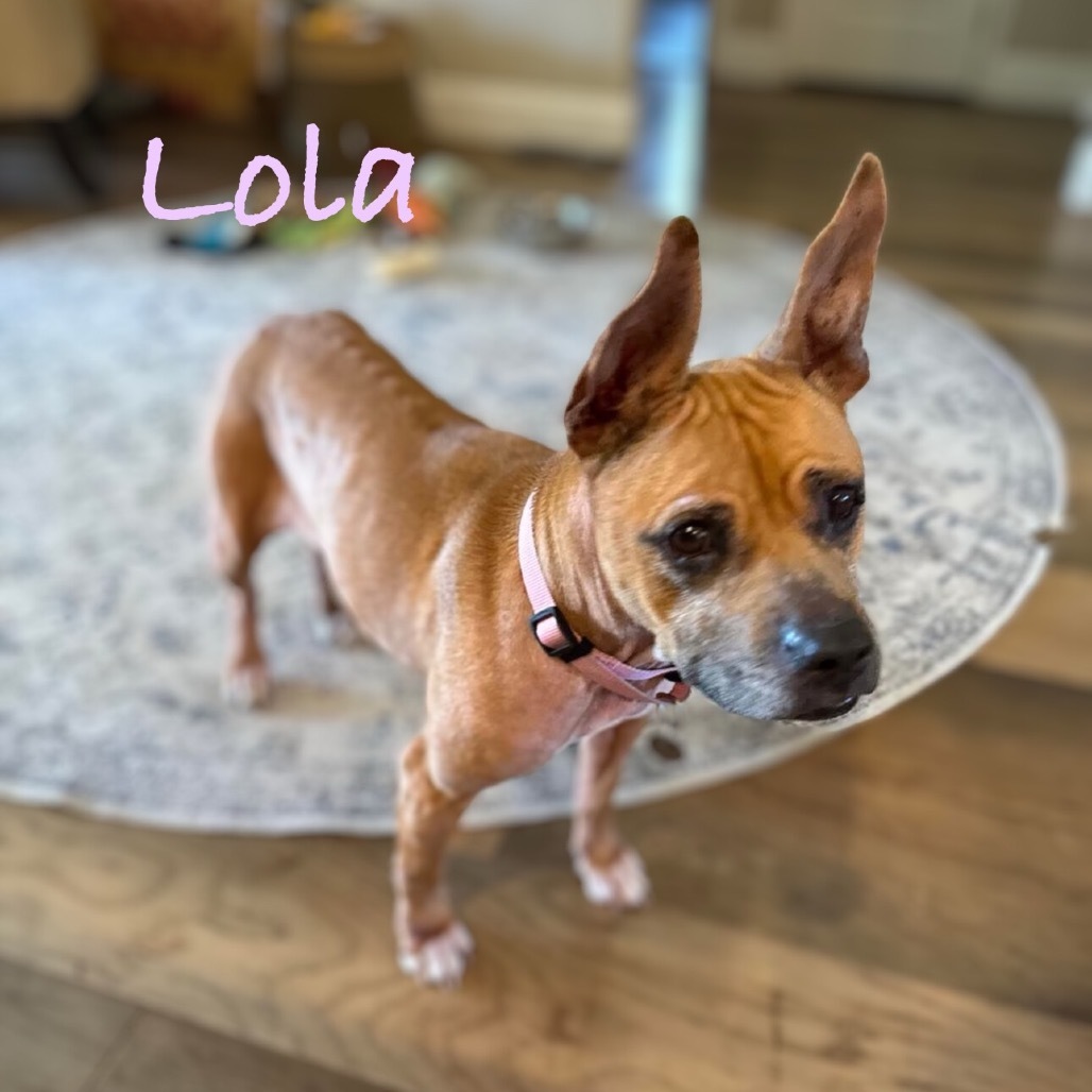 Lola