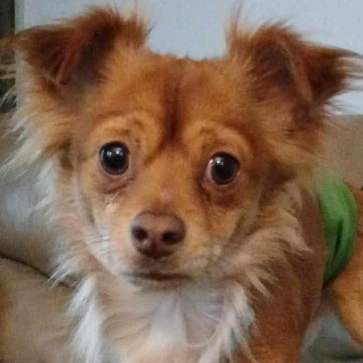 Chester