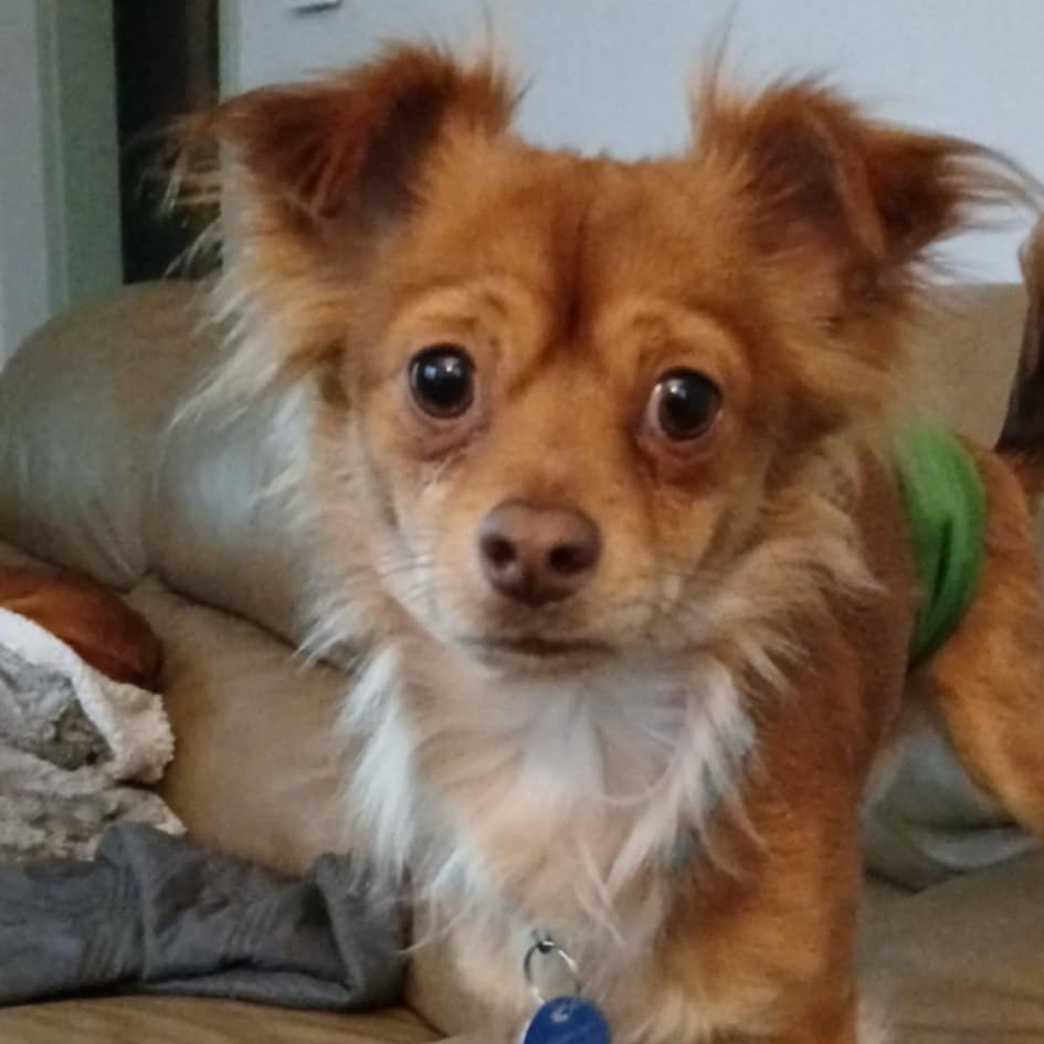 Chester